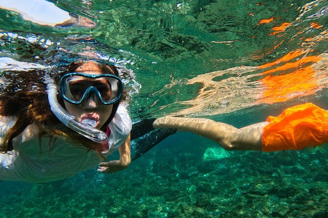 Snorkeling With Turtles in Fujairah With BBQ Lunch - Pricing and Legal Information
