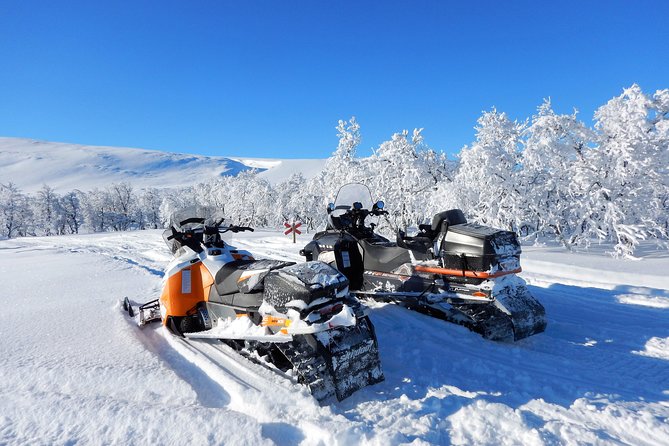 Snowmobile Adventure in Swedish Lapland (Day Tour) - Additional Information