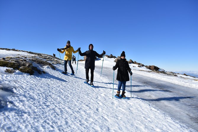 Snowshoe Hiking in Sierra Nevada (Granada) - Wildlife Encounters in Sierra Nevada