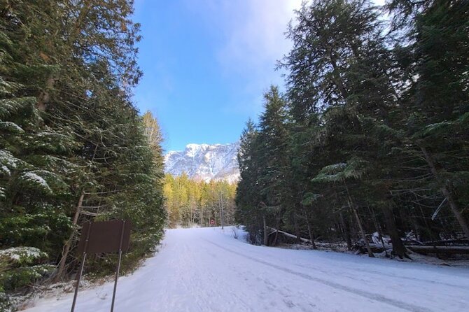 Snowshoe OR Cross Country Ski Tours in Glacier National Park - Common Questions