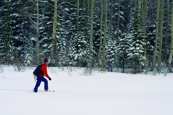 Snowshoe Rental at Tremblant - The Sum Up