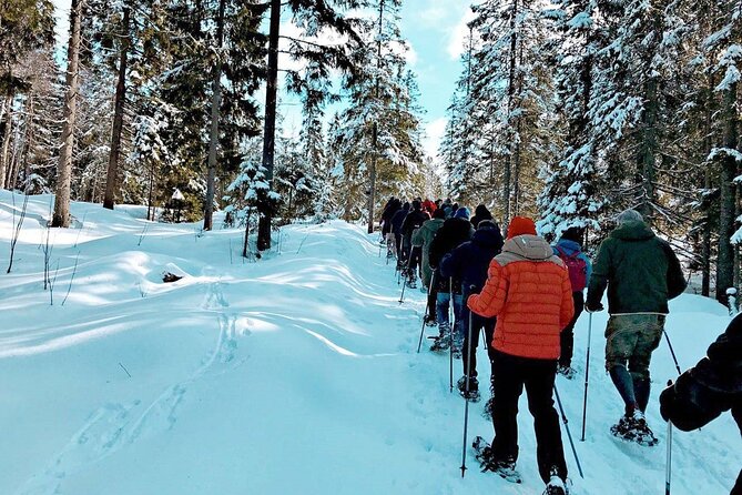 Snowshoe Tour in Winter Wonderland - Oslo - Contact Information