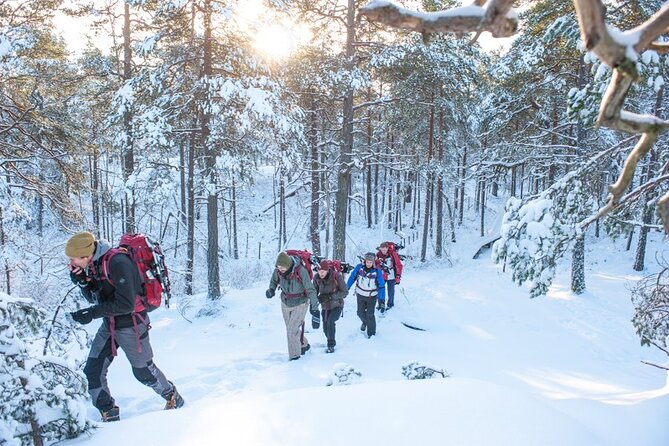 Snowshoe Winter Hike From Stockholm - Traveler Photos