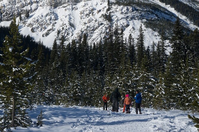 Snowshoeing in Kananaskis - Directions