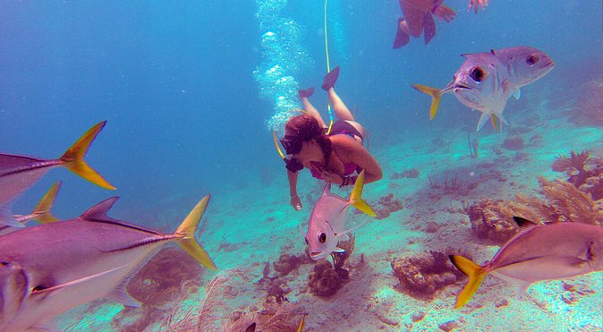 Snuba Adventure at Coral World Ocean Park - What to Expect: Age Restrictions, Accessibility, and Fitness Level Requirements