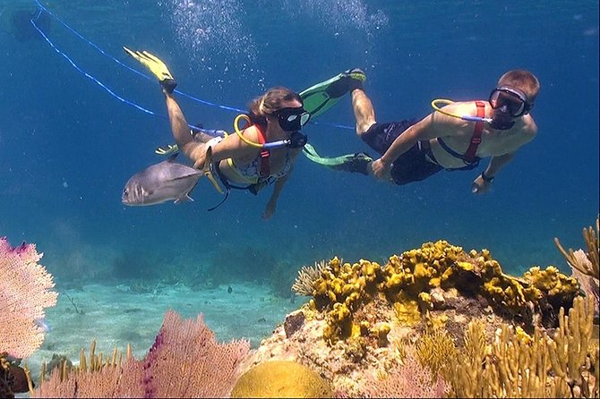 Snuba Adventure at Coral World Ocean Park - What to Expect During the Snuba Dive