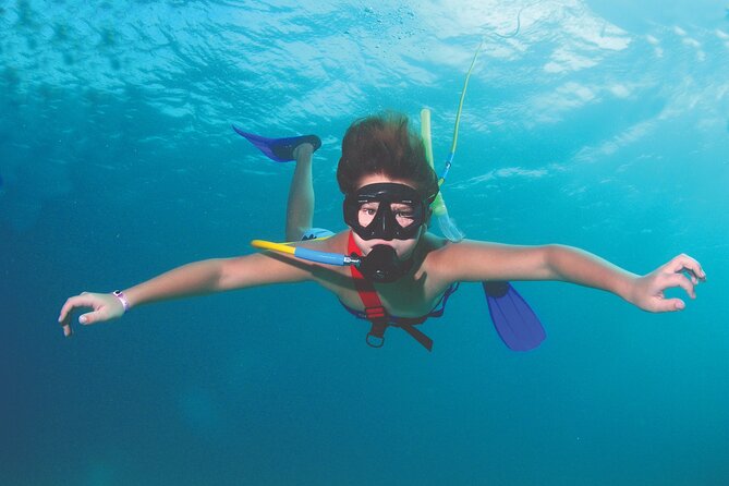 Snuba Adventure in Cabo San Lucas - Traveler Photos