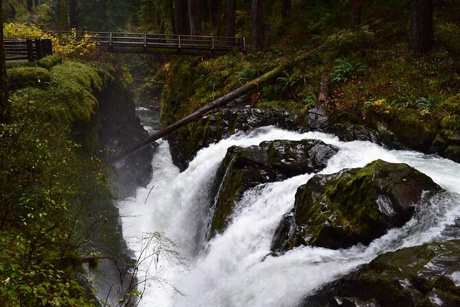 Sol Duc, Lake Crescent, and Hurricane Ridge Guided Tour in Olympic National Park - Additional Information