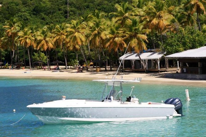 Sonic Charters- Full Day Boat Charter - 32 Intrepid Powerboat - What to Expect
