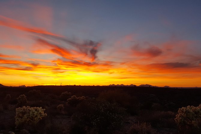Sonoran Desert Hummer Night Tour With Local Guide  - Scottsdale - Positive and Mixed Reviews From Travelers
