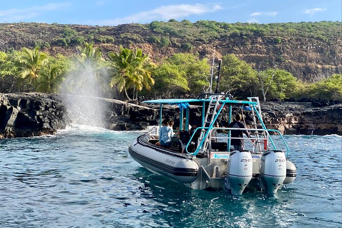 South Kona Coast Half-Day Morning Snorkeling Cruise  - Big Island of Hawaii - Common Questions