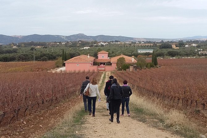 Spain Private Wine Tour to Ronda From the Costa Del Sol  - Marbella - Common Questions
