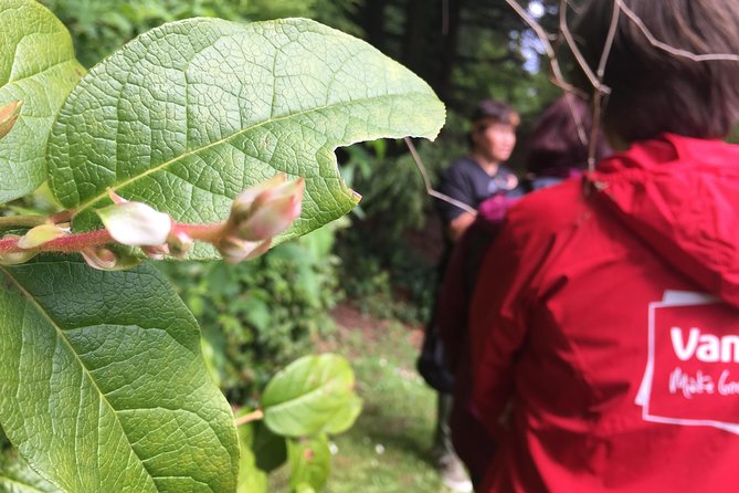 Spoken Treasures: Stanley Park Indigenous Walking Tour - Reviews