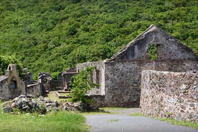 St John Island Sightseeing Tour - Positive Reviews