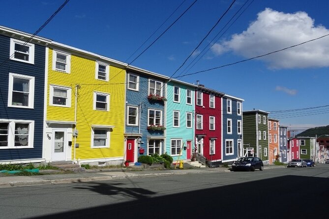 St. John'S Small Group Tour With Iceberg Quest Boat Cruise - Reviews