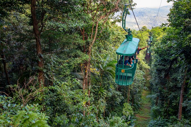 St. Lucia Aerial Tram Tour at Rainforest Adventures - Alternative for Those Who Prefer Not to Zip Line