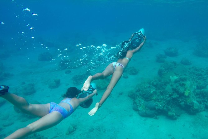 St. Lucia Speedboat and Power Snorkel From Castries - Amazing Snorkeling Opportunities