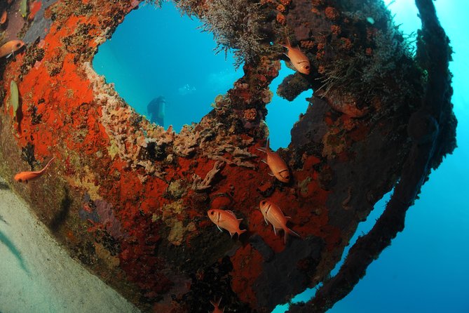 St Maarten Scuba Diving for Certified Divers - Pricing and Booking