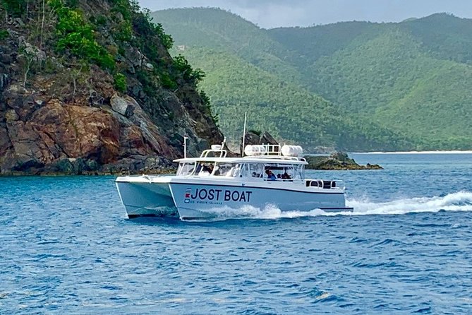 St. Thomas Lime Out Snorkel With Taco Bar Lunch & Swim-Up Bar - Ritz-Carlton - Snorkeling Tour Highlights