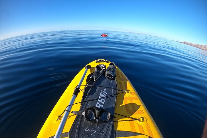 Stand up Paddle and Snorkeling Lesson in Playa Blanca - Help Center and Product Code