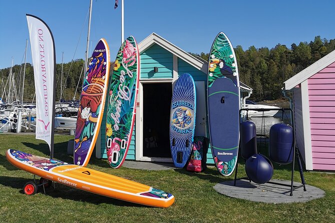 Stand up Paddleboard Adventure in Leangbukta - Inclusions: Paddle Equipment, Life Jacket, and More