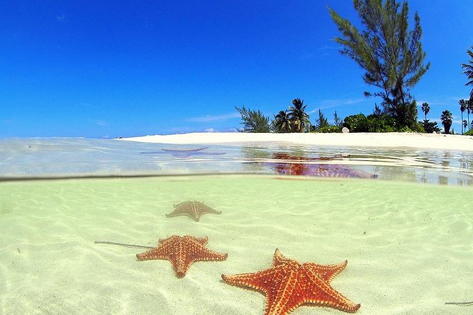 Starfish and Stingray City Fun Tour With Reef Snorkeling- 3 Stops - Common Questions