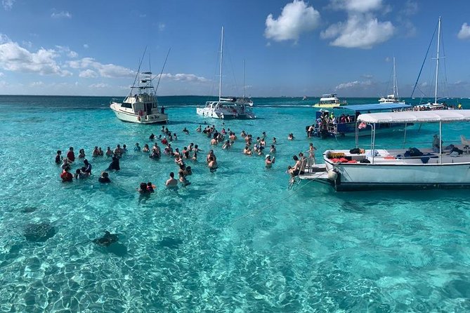 Stingraycity Adventure - Good To Know