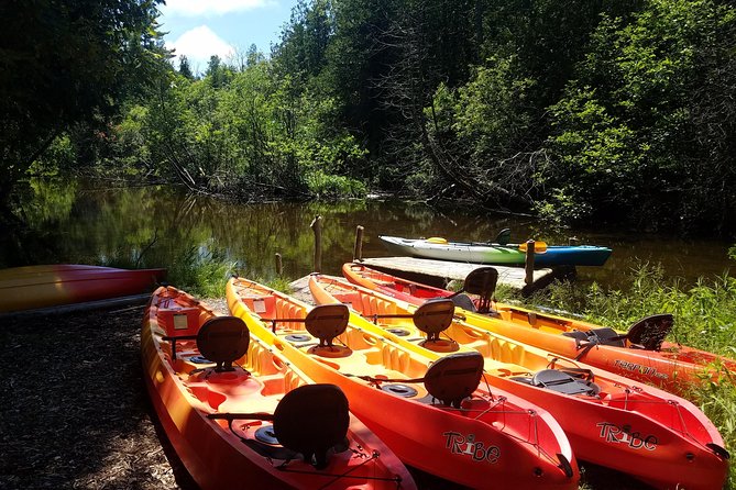 Sturgeon Bay Wetlands Kayak Tour  - Green Bay & Door County - Reviews and Contact Information