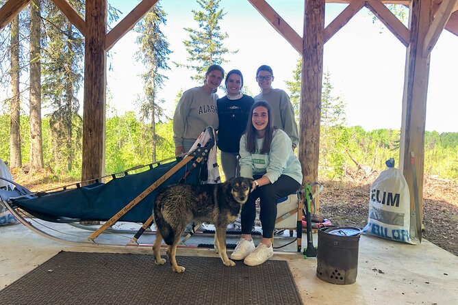 Summer Dog Sledding Adventure in Willow, Alaska - Alaskas Official State Sport