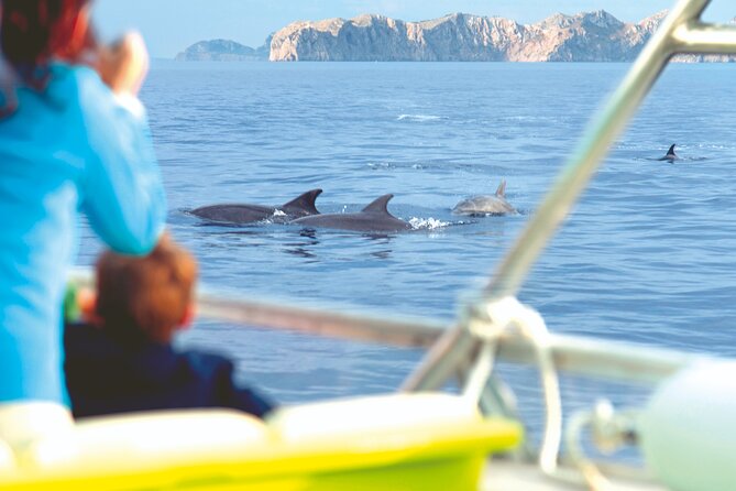 Sunrise Boat Trip in Mallorca With Dolphin-Watching - Additional Information