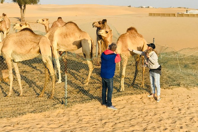 Sunrise Desert Safari With Quad Bike and Sandboarding, - Common Questions