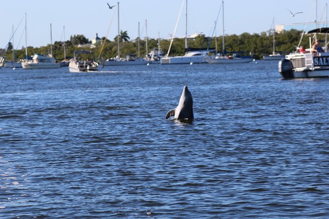 Sunset and Dolphin Tour, Fort Myers Beach and Sanibel Lighthouse - Cancellation Policy