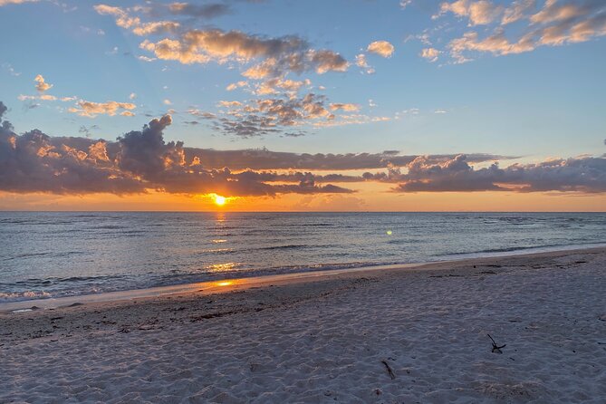 Sunset and Glow Clear Kayak Tour in North Naples - Common Questions