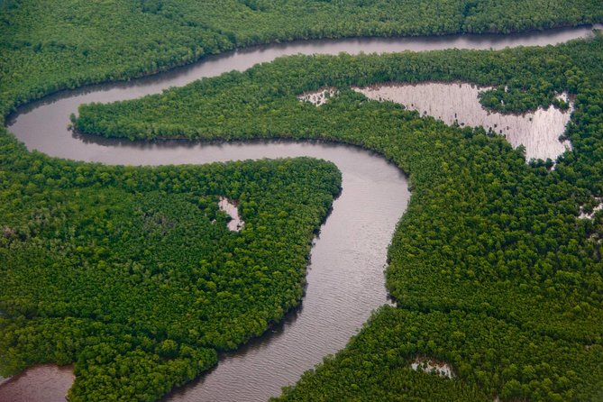 Sunset Boat Tour Into Caroni Wetlands - Traveler Experiences