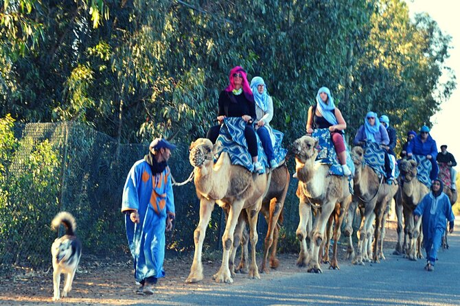 Sunset Camel Ride and Barbecue Dinner in Agadir - Cancellation Policy