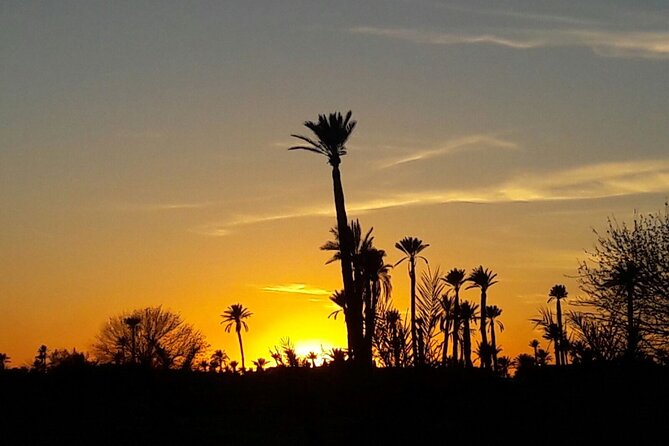 Sunset Camel Ride in the Palm Grove of Marrakech - Booking and Cancellation Policies