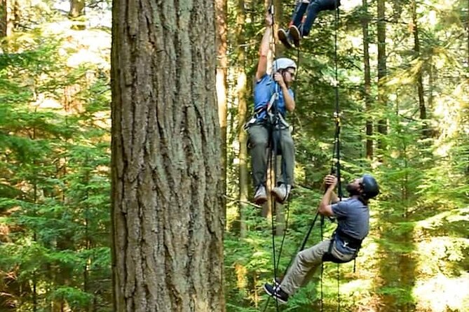 Sunset Canopy Climb on Lopez Island - Common Questions