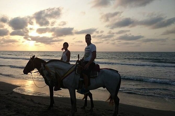 Sunset Horseback Riding Tour From Punta Cana - The Sum Up
