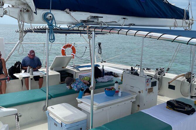 Sunset Sail & Dolphin Search With Honest Eco - Reviews and Ratings From Travelers
