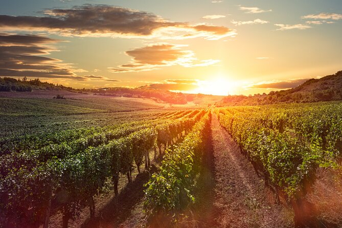 Sunset Sip Wine Tour - Lodging Pick-up