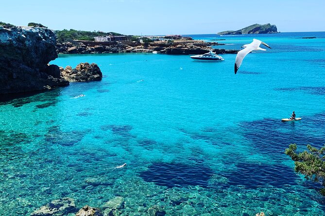 SUP Adventure Ibiza (Stand up Paddle , Snorkeling ,Kayaking) VIP - Viator Help Center