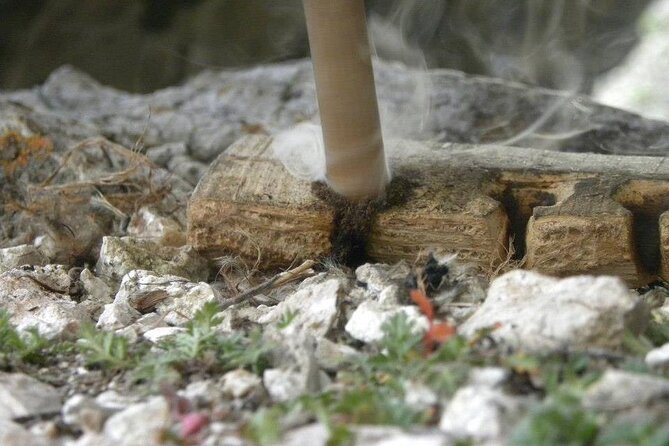 Survival and Bushcraft Courses - Course Activities