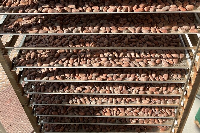 Sustainable Bean-to-bar Chocolate Tour - Reviews and Additional Information for the Sustainable Bean-to-bar Chocolate Tour