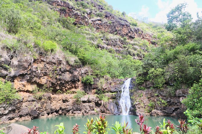Swim at Oahu Waterfall in Waimea With Coffee Treats, Lunch & Dole - Common Questions