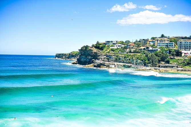 Sydney City Private Tour - Traveler Photos and Reviews