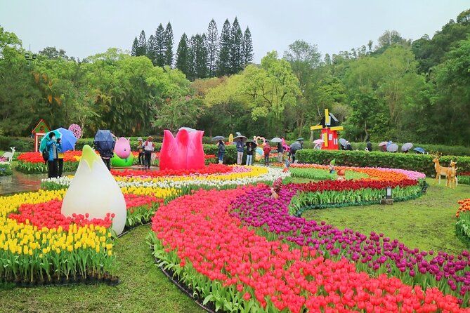 Taipei Cherry Blossom Day Tour - Cherry Blossom Viewing Locations