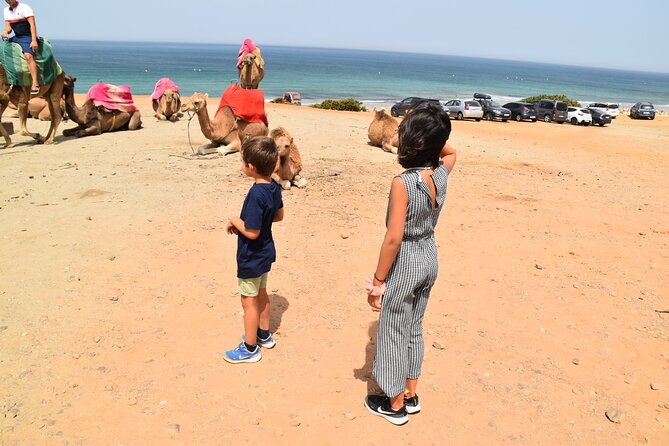 Tangier Private Tour From Malaga With Hotel Pick up - Common Questions