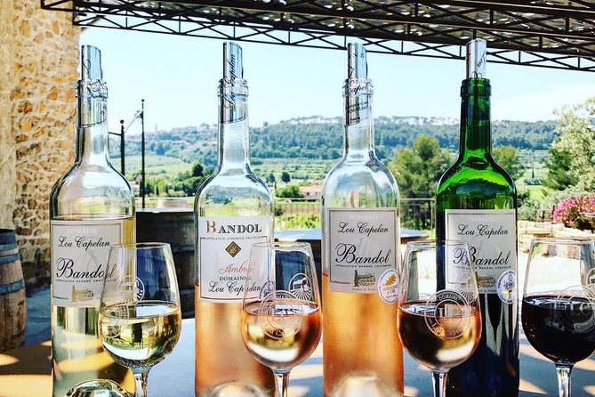 Tasting Bandol Wines & Visit of Cellar (in English) - Customer Reviews