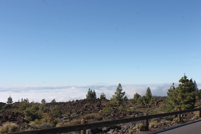 Teide Volcano National Park Quad Biking Tour - Directions