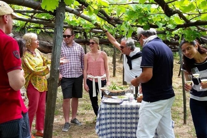 Tenuta San Francesco Wine Tasting - The Sum Up